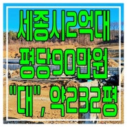 세종시2억대 고등리토지매매 세종시땅 세종삼기마을