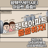 평택 브레인시티 중흥 S-클래스 아파트분양 줍줍하기