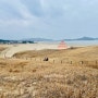 태안 신두리 해안사구 겨울 이국적인 모래언덕, 아이와 가볼만한 곳