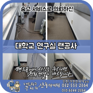 대학교 연구실 랜공사