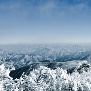 [2024/1/23] 영하17도에 북극한파 태백산 눈꽃산행기