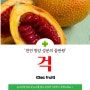 천연 항암성분 그 자체, 걱(Gac Fruit)의 효능 섭취 미담상회