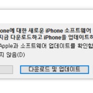 아이폰11프로맥스 ios17.3 업데이트 떴다!!