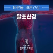 몸 속 필수인 말초신경이 망가진다면 여기로