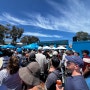 2024 호주 오픈 테니스 관람기(존케인 아레나, 마가렛 코트 라 아레나)
