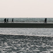 겨울 다대포해수욕장 🌊