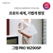 그램답게 프로답게 가볍게 빠르게 그램PRO 그램프로 16Z90SP-GA5CK 16Z90SP-GA7CK 17Z90SP-GA5CK