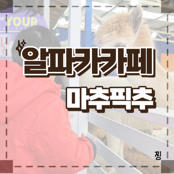 평창 가볼만한곳 알파카카페 마추픽추