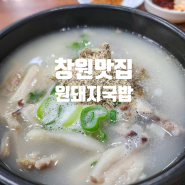 [맛집] 창원 상남동 원돼지국밥/창원 아침식사 가능한 국밥집 추천(메뉴,위치,가격)