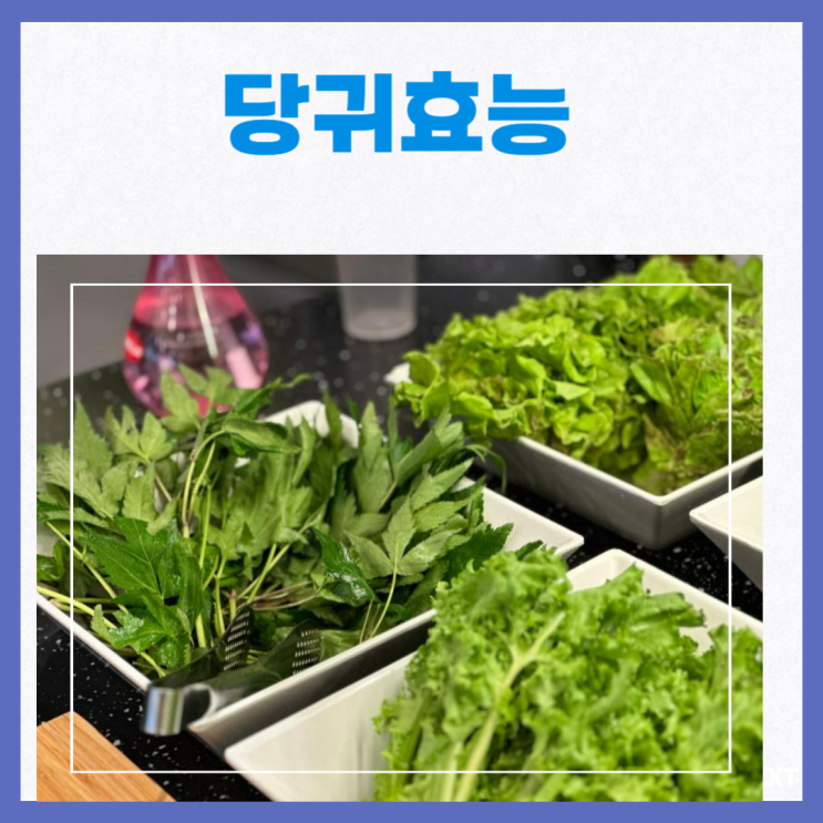 당귀효능 부작용 당귀차 당귀의효능 : 네이버 블로그