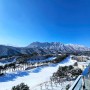 국내겨울여행지추천 - 강원도 양양 및 고성 2박3일 여행 프롤로그 (feat. 온천)