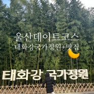 울산 데이트코스 태화강국가정원 / 인생 닭볶음탕 추천