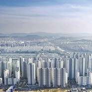 1342[서울 꼬마빌딩]전부월세시 월수입1200만원 정도 가능한 원룸건물/역세권/승강기 엘베