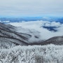 (단양 가볼만한곳) 눈꽃이 핀, 소백산국립공원 설경!