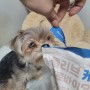 대주펫푸드 올리브 사료 (강아지관절, 변비,면역 작은알갱이사료)