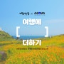 애드쿠아 인터렉티브, 한국관광공사 '여행가는 달' 디지털 캠페인 4년 연속 수주
