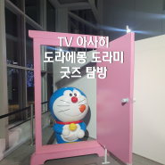 도쿄 TV 아사히 기념품 가게 : 도라에몽 도라미 굿즈를 찾는다면 바로 여기!