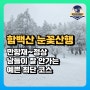 함백산 등산 최단 코스 안내 및 CCTV 확인 방법