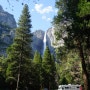 10일간의 샌프란시스코 여행(3) - 요세미티 국립공원에서의 하룻밤, Yosemite Valley Lodge