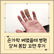 손가락 베였을 때 병원 상처 봉합 꿰맨 후기