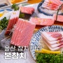 울산 삼산 맛집 본참치에서 계모임으로 참치 코스 즐기기