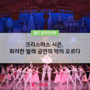 [월간전산망] 크리스마스 시즌, 화려한 발레 공연의 막이 오르다