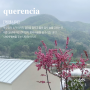 [케렌시아] Querencia