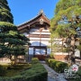 [일본 여행] 교토 여행(1)-은각사&철학의 길 고즈넉한 산책길이 있는 여행 스폿