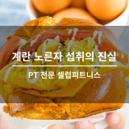 오송헬스장/오송피티 계란 노른자 섭취의 진실!
