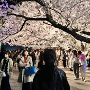 3월 말에 벚꽃 피는 후쿠오카 5박 6일 훑구올까? 다섯째, 마지막 날