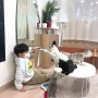 고양이주택 서창점:: 인천 서창동 아이랑 가기 좋은 키즈카페, 고양이 카페로 쾌적하고 관리 잘되는곳 추천합니다. 방학때, 주말에 평일에 가기 좋아요👍👍👍