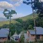 [8月 숲나들e] 경북 청도자연휴양림 사과2호 숙박 후기