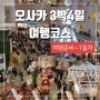오사카 3박4일 여행 준비 총정리(1일차, 비짓재팬, 열차정보 포함)