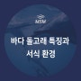 바다 돌고래 특징과 서식 환경에 대해 알아보자 l 엠에스엠코리아 MSM