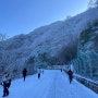 지리산 노고단 겨울 눈꽃 산행 교통 통제로 시암재 휴게소 코스