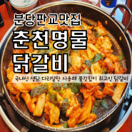 분당맛집 국내산 생닭 다리살만 사용하는 춘천명물닭갈비