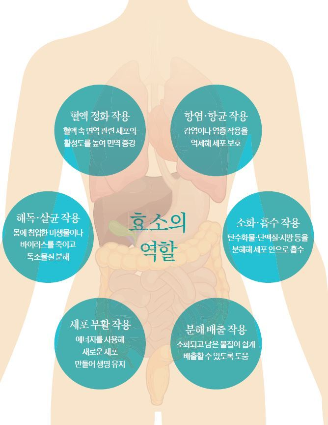 바이오산업에 이용되는 효소의 이해와 효소활성분석_한국의과학연구원 미생물분석센터 : 네이버 블로그