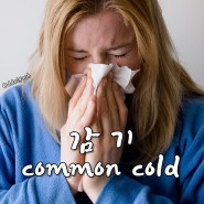감기 몸살 증상 및 원인과 코감기 목감기 예방하는 방법