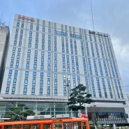 마쓰야마 REF 베셀 호텔 (REF Matsuyama City Station by Vessel Hotels) 1인실