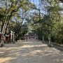 [일본여행] 후쿠오카 가족여행 3박4일 2일차 볼거리-1 (스미요시 신사, 캐널시티)