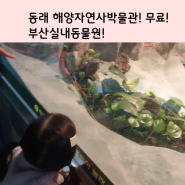 부산실내동물원 부산해양자연사박물관 아기랑 가기좋은 이유!