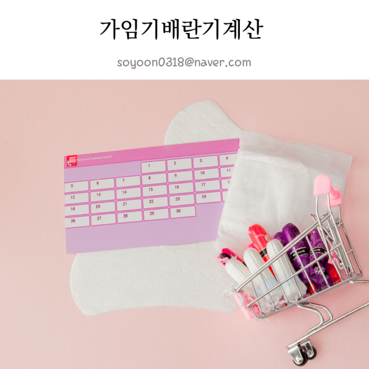 가임기 배란기계산법 임신확률 배란2,3일전 가장 높아! : 네이버 블로그