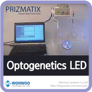 자유롭게 움직이는 포유류를 위한 생체 내 광유전체학(In-Vivo Optogenetics) Toolbox - Prizmatix社