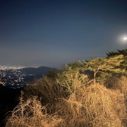 겨울 가볼만한곳 남한산성 야경 (평일)