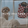 키니키니(kinikini) 강아지옷 브랜드 " 누빔집업 " 으로 예쁘고 따시한 겨울 산책하기!