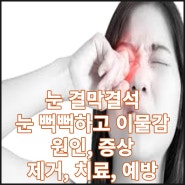 눈 결막결석 눈 뻑뻑하고 이물감 원인 증상 제거 치료 예방
