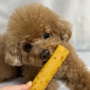 강아지수제간식 북어로 만든 어묵 이루우리 댕뎅바