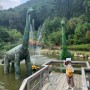 [이천]여행 덕평공룡수목원 실물크기 공룡 조형물들이 있는 공룡테마파크이자 식물 동물 체험을 즐길 수 있어 아이랑 함께 즐기러 가볼만한 곳