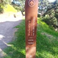 뉴질랜드 걷기, 마운트 망가누이 둘레길 Mount Maunganui loop trail