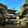 일본 교토 여행 은각사(지쇼지,긴카쿠지) 호넨인 철학의길! 단풍코스 추천
